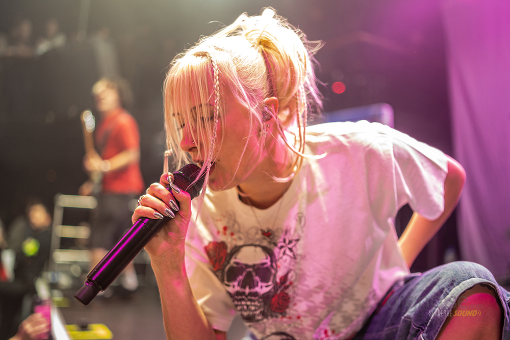 South Arcade Harmony Cavelle