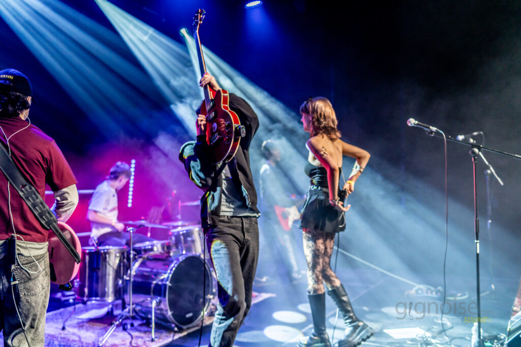 Charcoal Greys  Live