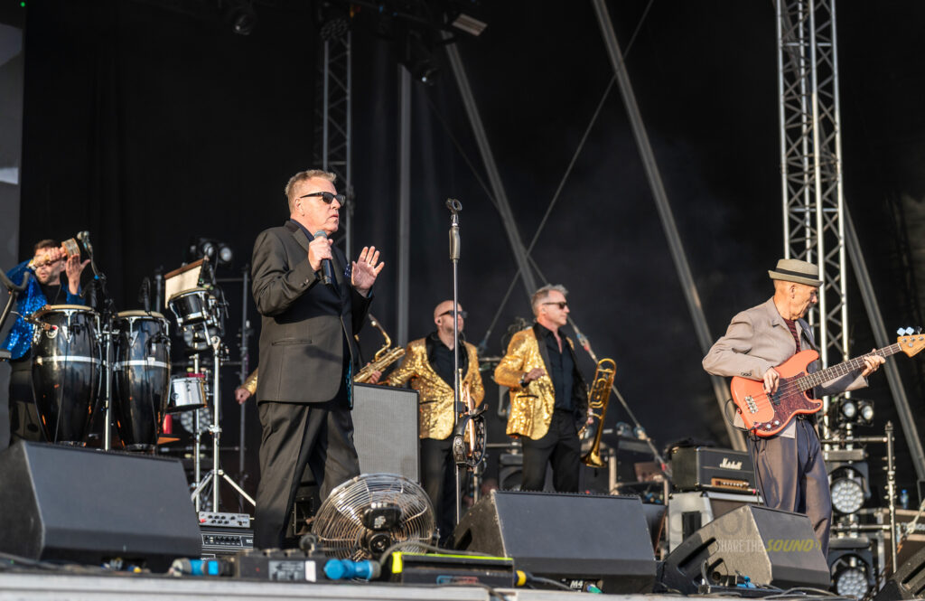 Madness Forest Fest Review