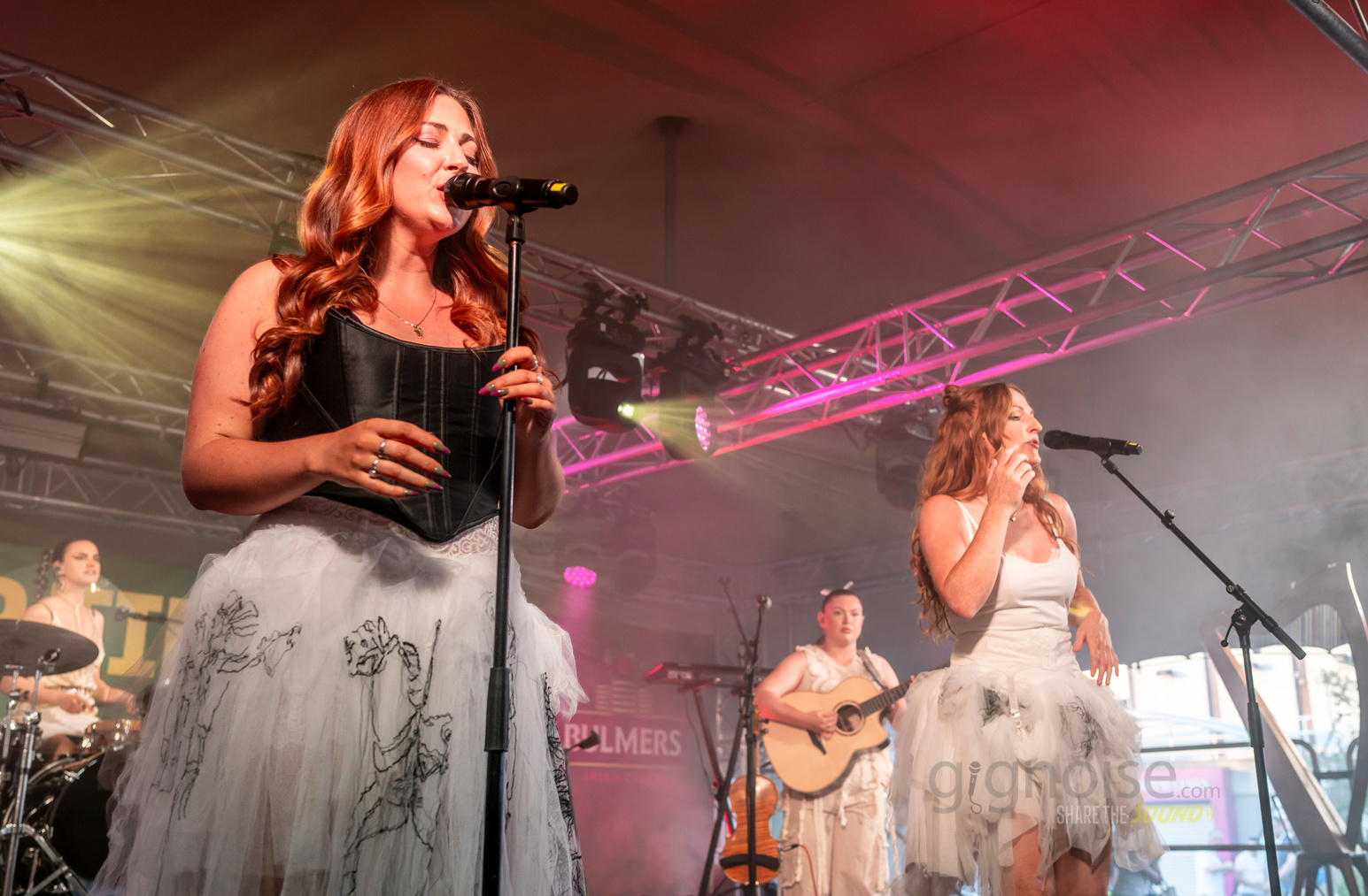 BIIRD is an all-female Irish folk music band