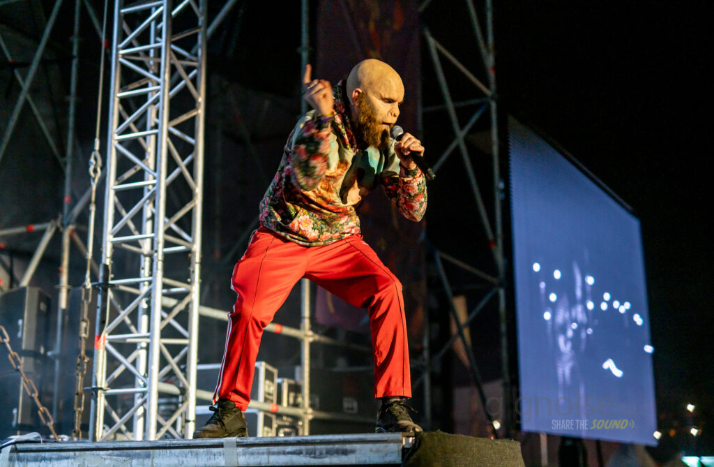 King Kong Company live