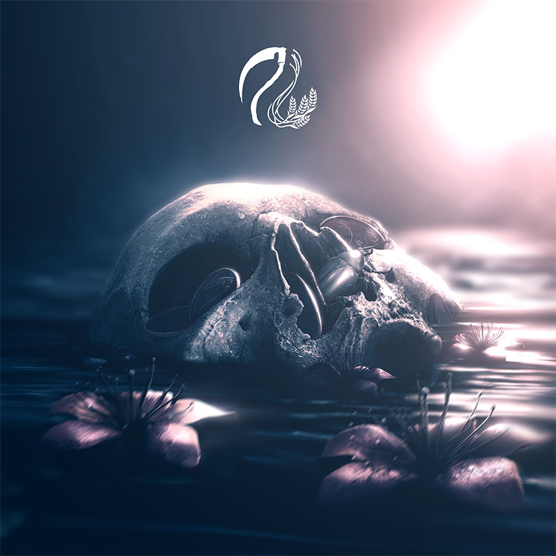 Electron Release New Single Taken